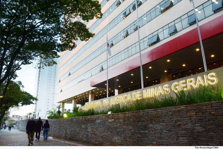 Conanda repudia decisão do TJMG sobre estupro