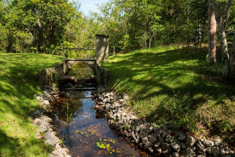 Projeto Microbacias impulsiona metas de água da Suzano