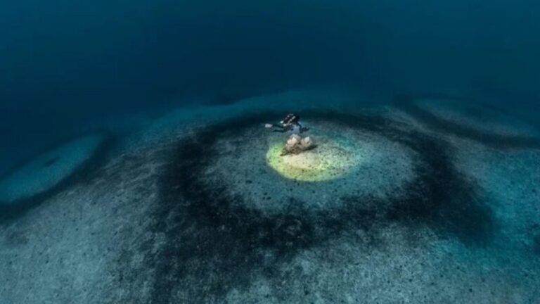 Descoberta de 1.400 círculos gigantes no Mar Mediterrâneo intriga cientistas
