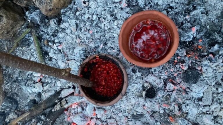 Estudo revela prática culinária complexa da Idade da Pedra
