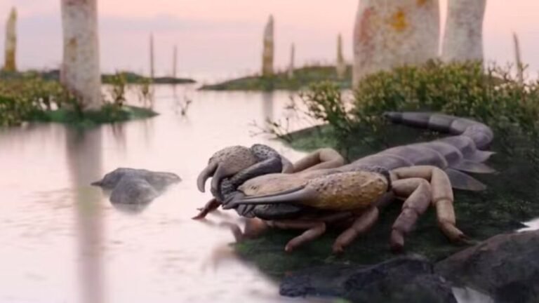 Arqueólogos identificam escorpião gigante de 415 milhões de anos