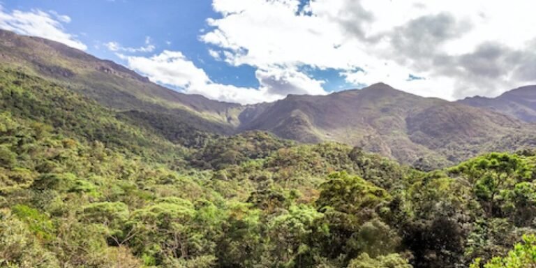 Samarco preserva 16 mil hectares em biodiversidade em MG e ES