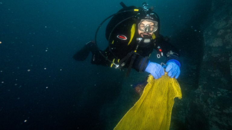 Bactéria encontrada na Antártida pode ajudar no combate ao câncer de pele