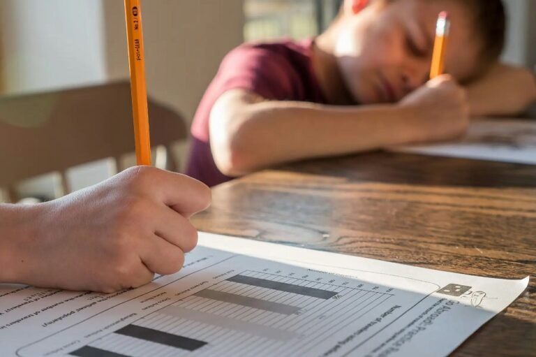 Tradição clássica e ciência travam disputa pela autoridade na educação conservadora