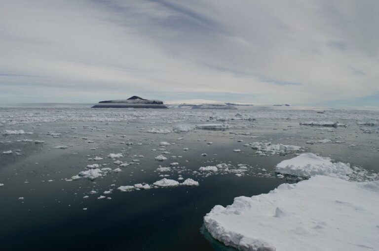 Cientistas buscavam navio naufragado e encontram mais de mil ninhos sob o gelo da Antártida