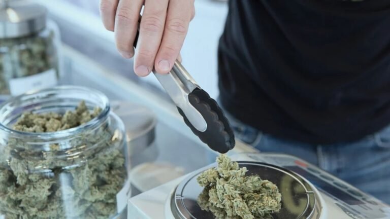Liberada pela Anvisa, “maconha medicinal” é contestada em maior estudo já feito