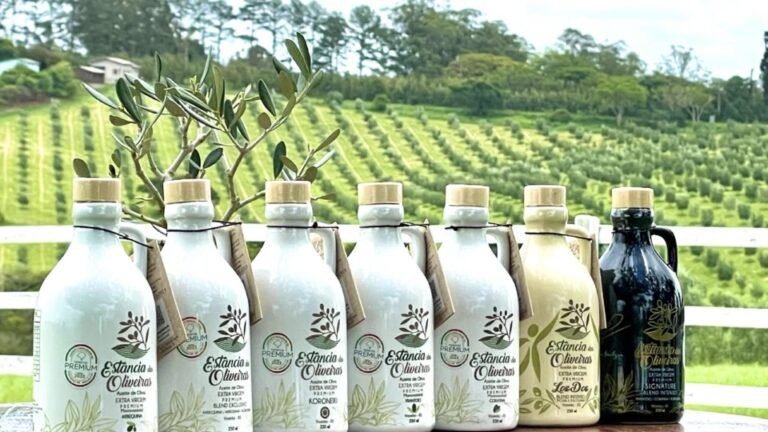 A fazenda brasileira que produz o azeite mais premiado do mundo