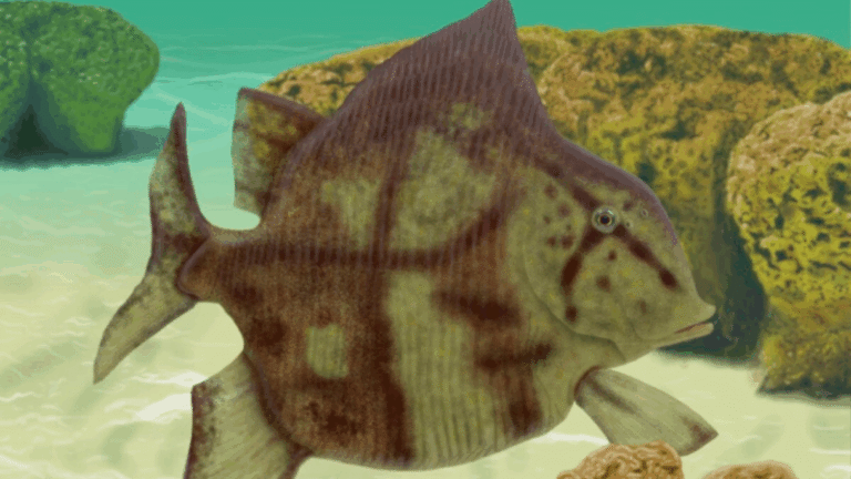 Peixe de 280 milhões de anos é identificado a partir de fósseis no Piauí