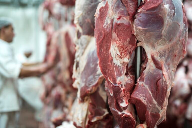 China trava carne bovina do Brasil com tarifa de 67%