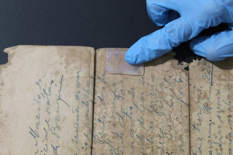 Bagaço de cana dá origem a géis para limpar obras de arte