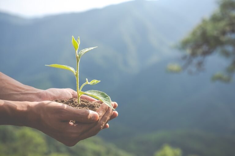 Licença ambiental, custo ou ferramenta de gestão?